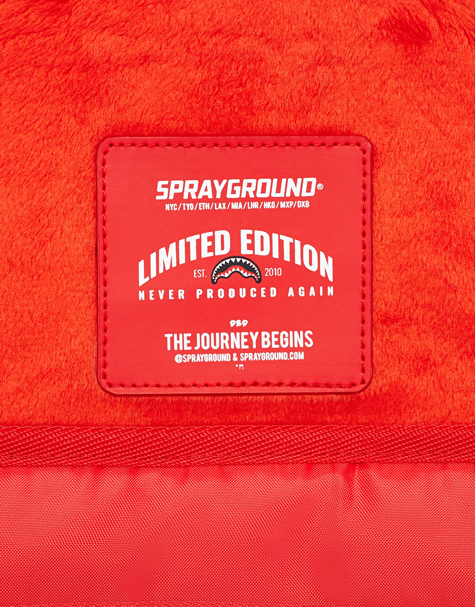 GLOBAL ENTRY BACKPACK