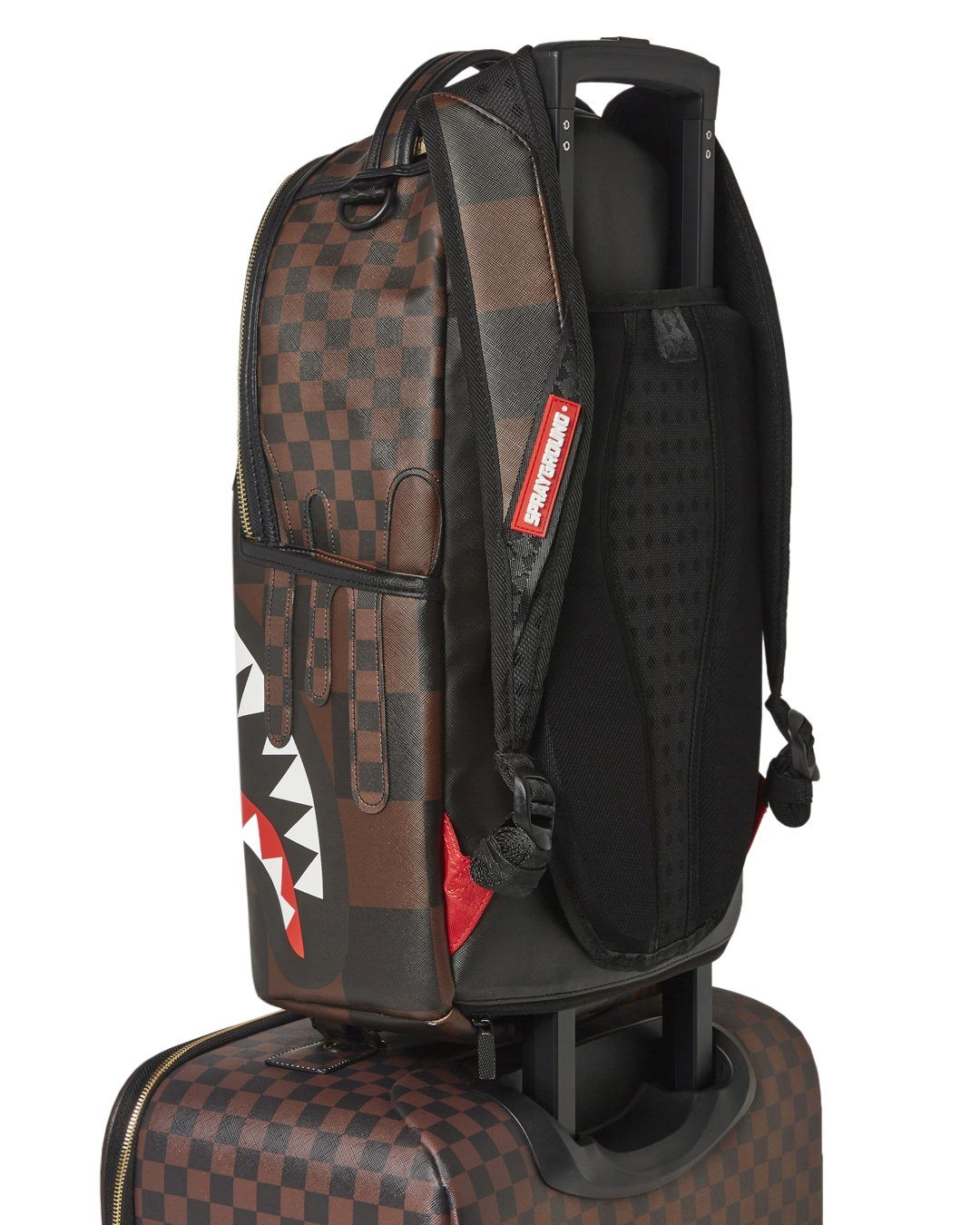 XTC SHARKS IN PARIS JETSETTER CARRY-ON LUGGAGE